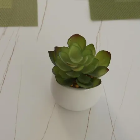 Near Sea Nortico 5 Spain Торевьиа