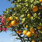 Near Sea Nortico 5 Spain Апартаменты Торевьиа